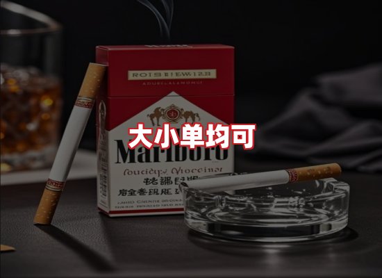 专业团队